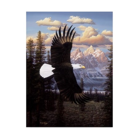 R W Hedge 'Land Of The Free Eagle' Canvas Art,14x19